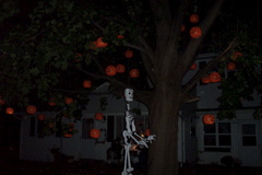 DCP_8271.JPG