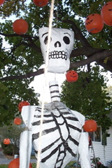 DCP_8247.JPG
