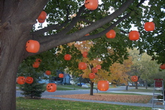 DCP_8252.JPG